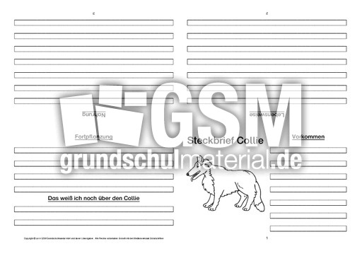 Collie-Faltbuch-vierseitig.pdf
